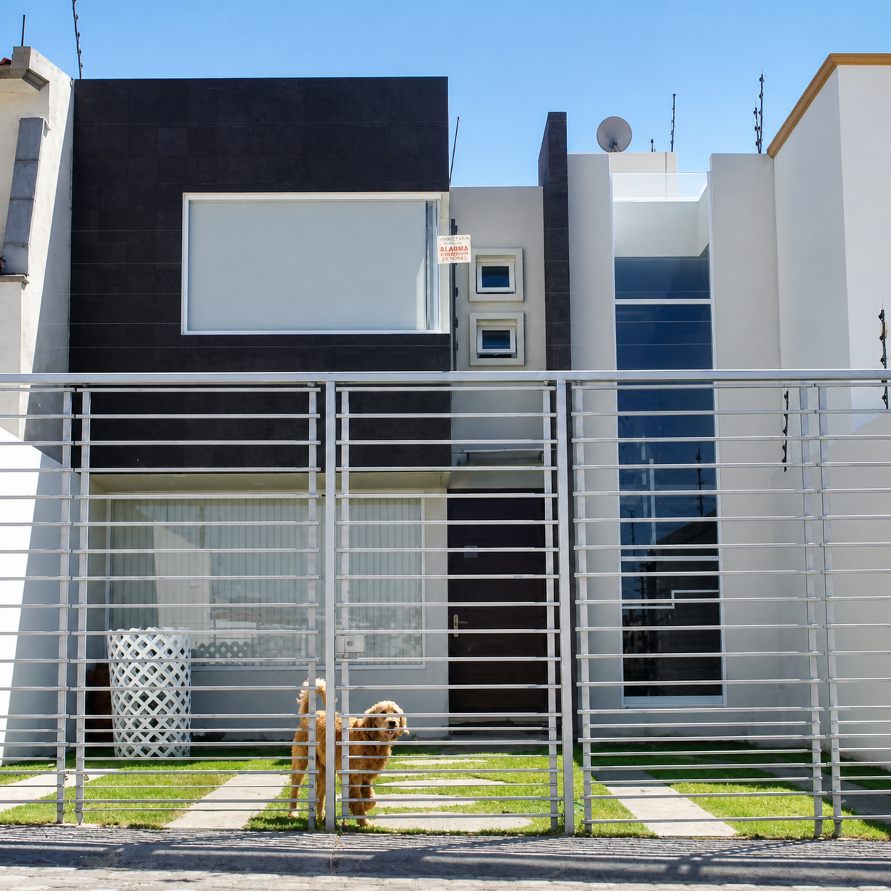 Portfolio Image